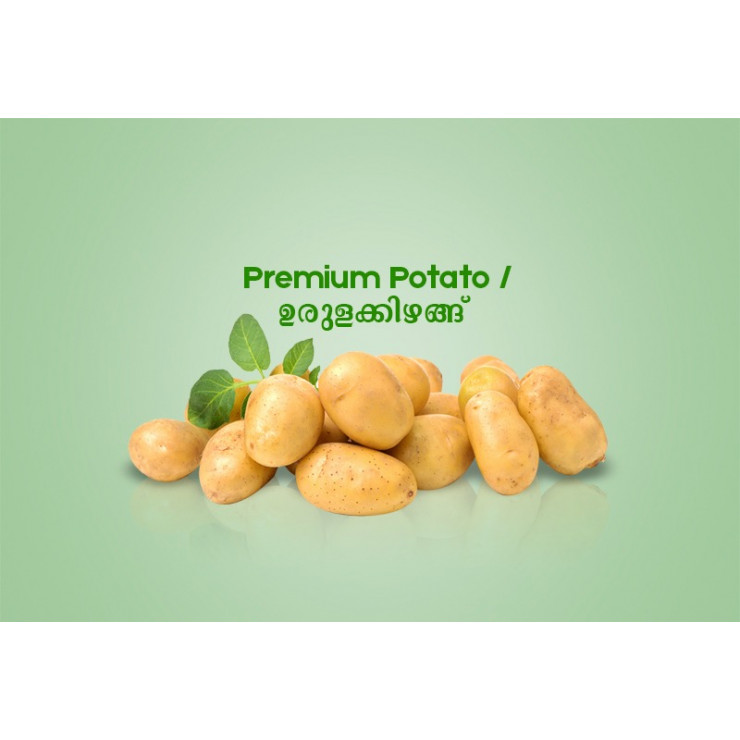 Premium Potato / ഉരുളക്കിഴങ്ങ് - 500gm 
